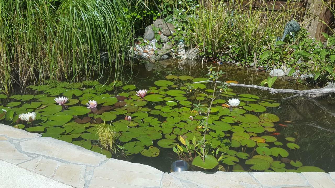 Le Mas Des Geais Boulazac Isle Manoire Εξωτερικό φωτογραφία